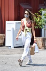 ALESSANDRA AMBROSIO Out Shopping in Brentwood 08/20/2020