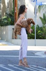 ALESSANDRA AMBROSIO Out with her Dog in West Hollywood 08/18/2020