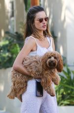 ALESSANDRA AMBROSIO Out with her Dog in West Hollywood 08/18/2020