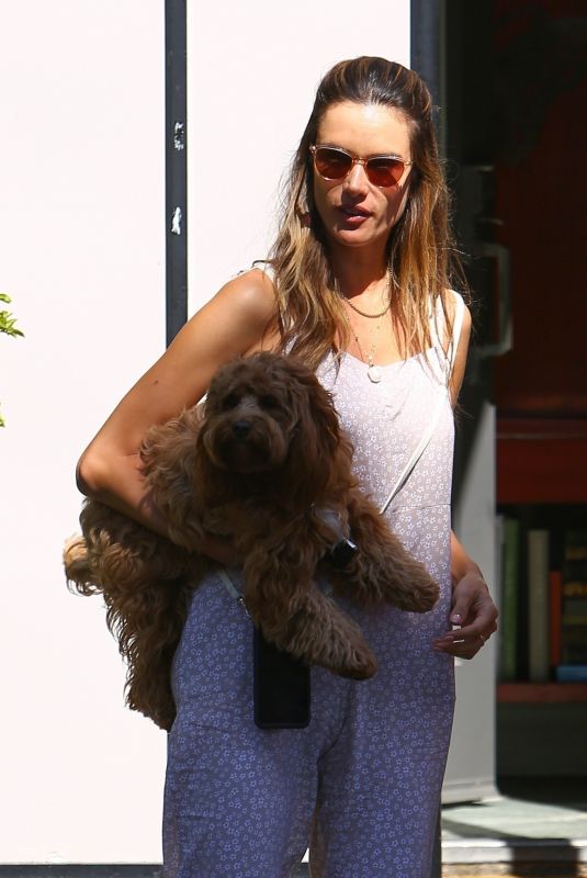 ALESSANDRA AMBROSIO Out with her Dog in West Hollywood 08/18/2020