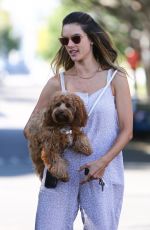 ALESSANDRA AMBROSIO Out with her Dog in West Hollywood 08/18/2020