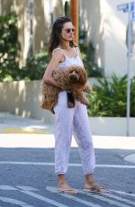ALESSANDRA AMBROSIO Out with her Dog in West Hollywood 08/18/2020