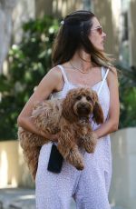 ALESSANDRA AMBROSIO Out with her Dog in West Hollywood 08/18/2020