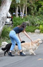 ANA DE ARMAS and Ben Affleck Out with Their Dog in Brentwood 08/13/2020