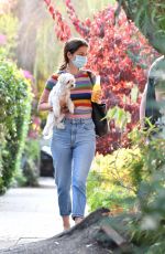 ANA DE ARMAS and Ben Affleck Out with Their Dog in Los Angeles 08/19/2020