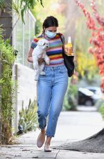 ANA DE ARMAS and Ben Affleck Out with Their Dog in Los Angeles 08/19/2020