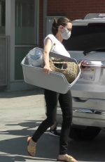 ANGELINA JOLIE Shopping at Petco in Los Feliz 08/28/2020