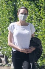 ANGELINA JOLIE Shopping at Petco in Los Feliz 08/28/2020