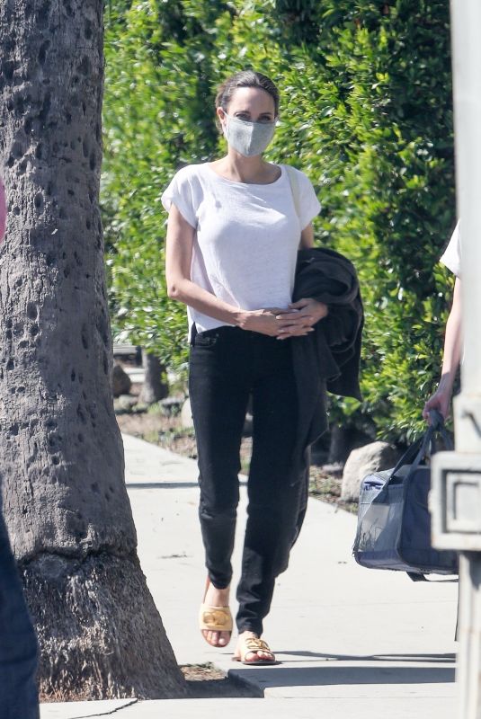 ANGELINA JOLIE Shopping at Petco in Los Feliz 08/28/2020