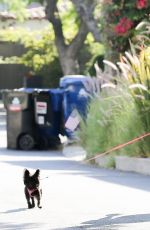 BEBE REXHA Out with Her Dog in Hollywood 08/06/2020
