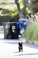 BEBE REXHA Out with Her Dog in Hollywood 08/06/2020