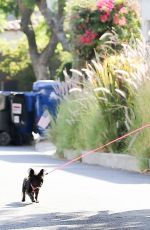 BEBE REXHA Out with Her Dog in Hollywood 08/06/2020