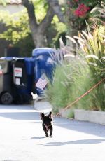 BEBE REXHA Out with Her Dog in Hollywood 08/06/2020