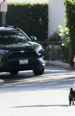 BEBE REXHA Out with Her Dog in Hollywood 08/06/2020