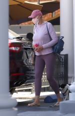 BRIGITTE NIELSEN Out and About in Los Angeles 08/11/2020