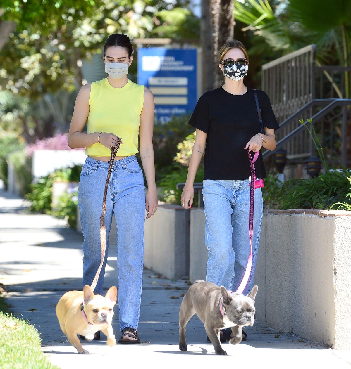 DELILAH and AMELIA HAMLIN Out with Their Dogs in Los Angeles 08/10/2020 ...