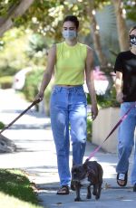 DELILAH and AMELIA HAMLIN Out with Their Dogs in Los Angeles 08/10/2020