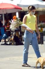 DELILAH and AMELIA HAMLIN Out with Their Dogs in Los Angeles 08/10/2020