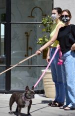 DELILAH and AMELIA HAMLIN Out with Their Dogs in Los Angeles 08/10/2020