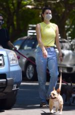 DELILAH and AMELIA HAMLIN Out with Their Dogs in Los Angeles 08/10/2020
