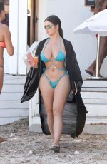 DEMI ROSE MAWBY in Bikini Out on the Beach in Ibiza 08/20/2020