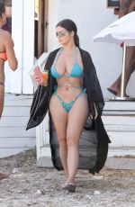 DEMI ROSE MAWBY in Bikini Out on the Beach in Ibiza 08/20/2020