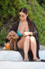 DEMI ROSE MAWBY in Bikini Out on the Beach in Ibiza 08/20/2020