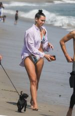 DUA LIPA in Bikini and Anwar Hadid Out with Their Dog at a Beach in Malibu 08/25/2020