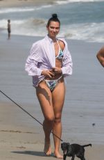 DUA LIPA in Bikini and Anwar Hadid Out with Their Dog at a Beach in Malibu 08/25/2020