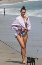 DUA LIPA in Bikini and Anwar Hadid Out with Their Dog at a Beach in Malibu 08/25/2020