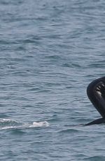 DUA LIPA in Wetsuit Boogie Boarding in Malibu 08/21/20