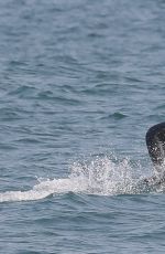 DUA LIPA in Wetsuit Boogie Boarding in Malibu 08/21/20