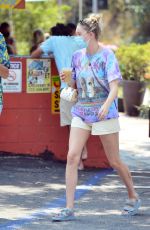 ELSA HOSK and Tom Daly Out for Breakfast in Los Angeles 08/25/2020