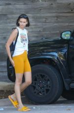 EVELYN ROSE Out and About in Malibu 08/07/2020