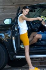 EVELYN ROSE Out and About in Malibu 08/07/2020