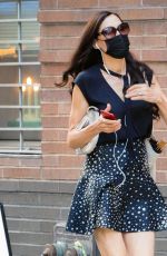 FAMKE JANSSEN Out and About in New York 08/20/2020