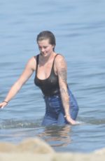 IRELAND BALDWIN at a Beach in Malibu 08/16/2020