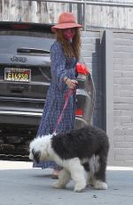 ISLA FISHER Out with Her Dog in West Hollywood 08/21/2020