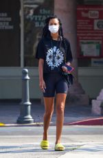 LAIS RIBEIRO Out and About in Malibu 08/27/2020