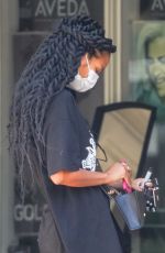 LAIS RIBEIRO Out and About in Malibu 08/27/2020