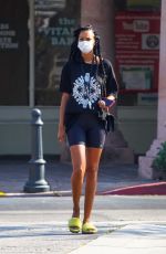 LAIS RIBEIRO Out and About in Malibu 08/27/2020