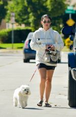 LUCY HALE Out with Her Dog in Studio City 08/29/2020