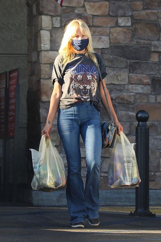 MALIN AKERMAN Wearing a Masj at Gelson