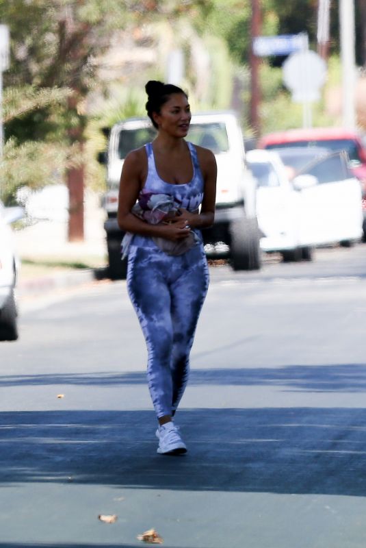 NICOLE SCHERZINGER Heading to a Private Gym in Los Angeles 08/26/2020