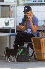 PARIS HILTON Out Shopping with Her Dog in Hollywood 08/25/2020