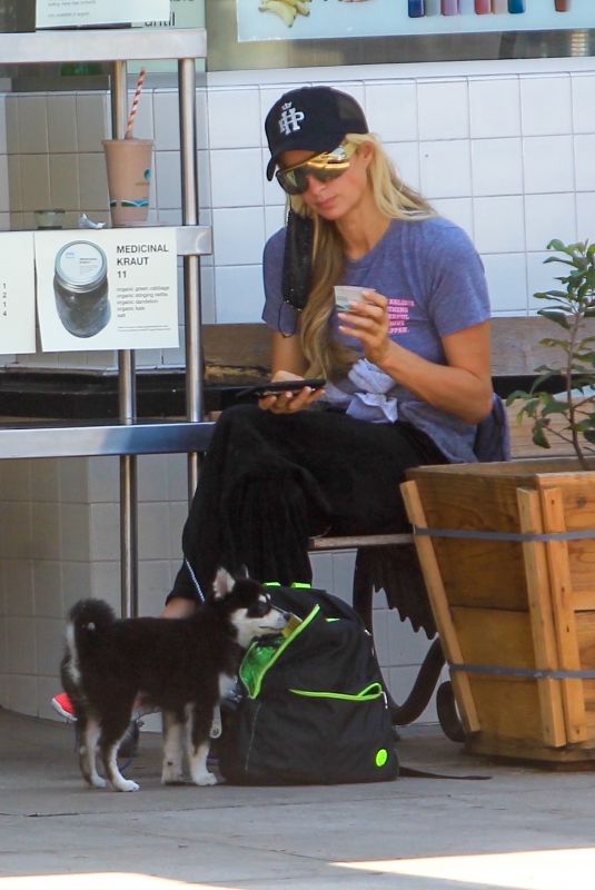 PARIS HILTON Out Shopping with Her Dog in Hollywood 08/25/2020