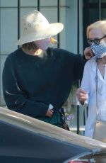 SARAH PAULSON and HOLLAND TAYLOR Out Shopping in West Hollywood 08/27/2020