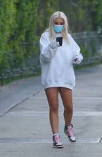 TANA MONGEAU and Jake Paul Out with Their Dog in Calabasas 08/12/2020