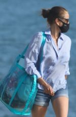 TERI HATCHER Out at a Beach in Malibu 08/06/2020