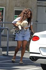 VANESSA HUDGENSS Out with Her Dog in Los Feliz 08/27/2020